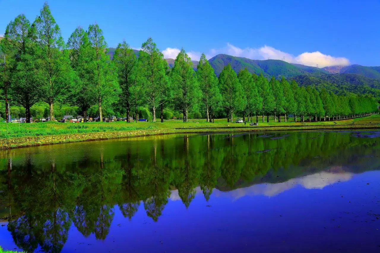 🏞️ 도치기현 중앙 공원 (토치기켄 추오 코엔) 이미지 8